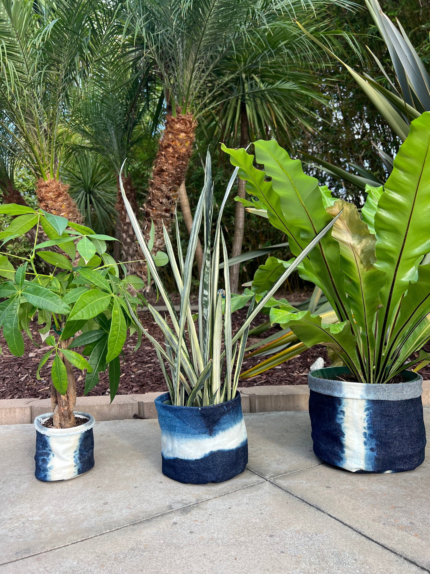 Hand-dyed denim plant pot set